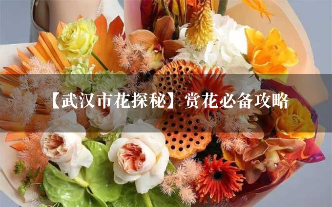 【武汉市花探秘】赏花必备攻略