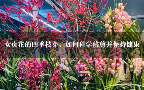 女贞花的四季枝芽，如何科学修剪并保持健康