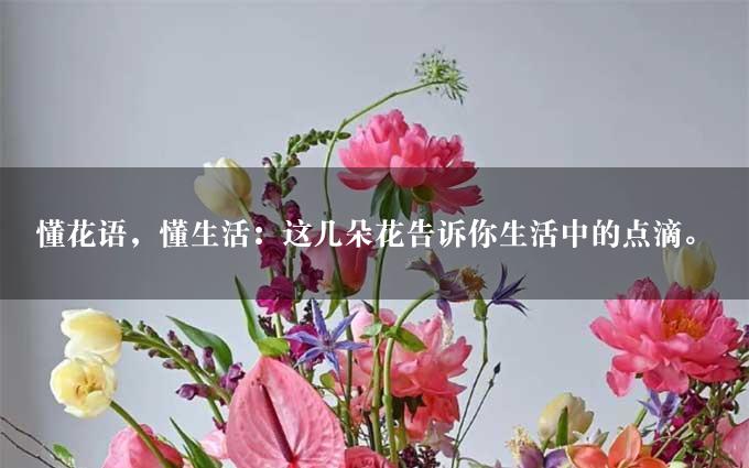 懂花语，懂生活：这几朵花告诉你生活中的点滴。