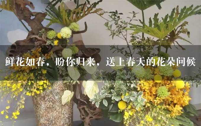 鲜花如春，盼你归来，送上春天的花朵问候