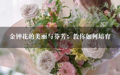 金钟花的美丽与芬芳：教你如何培育