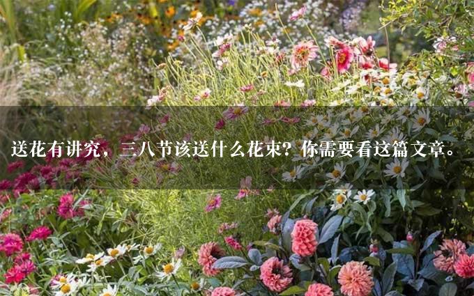 送花有讲究，三八节该送什么花束？你需要看这篇文章。