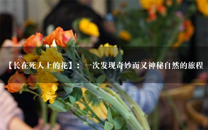 【长在死人上的花】：一次发现奇妙而又神秘自然的旅程