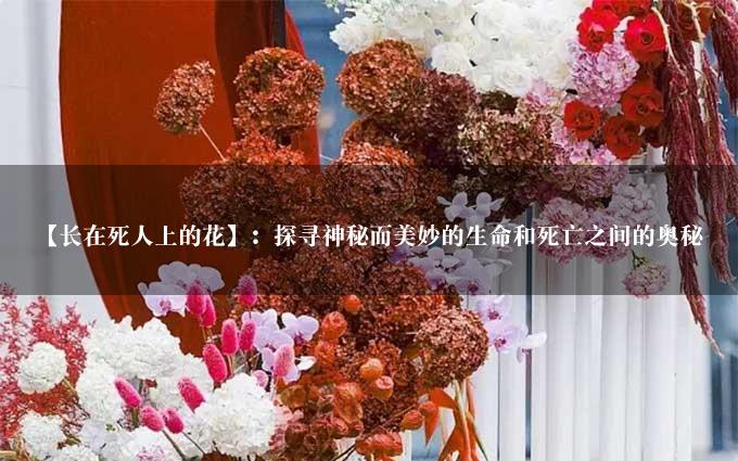 【长在死人上的花】：探寻神秘而美妙的生命和死亡之间的奥秘