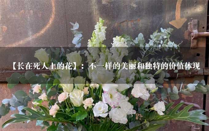 【长在死人上的花】：不一样的美丽和独特的价值体现