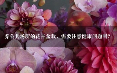 养公共场所的花卉盆栽，需要注意健康问题吗？