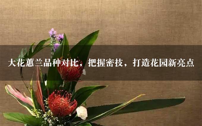 大花蕙兰品种对比，把握密技，打造花园新亮点