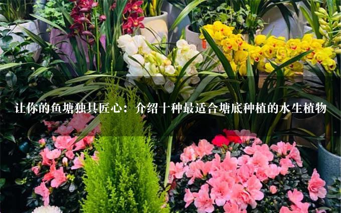 让你的鱼塘独具匠心：介绍十种最适合塘底种植的水生植物