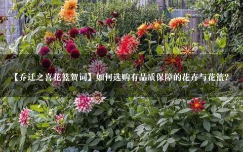 【乔迁之喜花篮贺词】如何选购有品质保障的花卉与花篮？