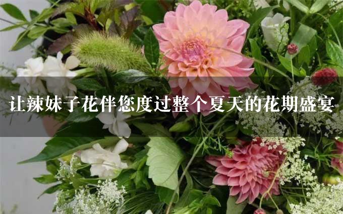 让辣妹子花伴您度过整个夏天的花期盛宴