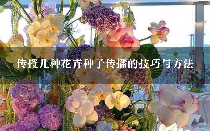 传授几种花卉种子传播的技巧与方法