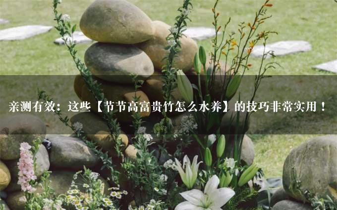 亲测有效：这些【节节高富贵竹怎么水养】的技巧非常实用！