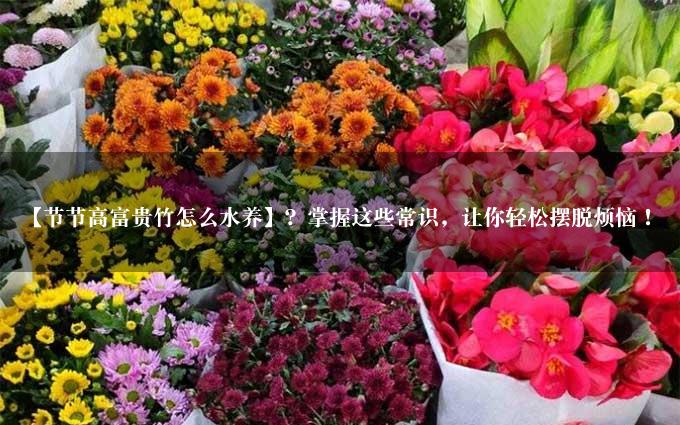 【节节高富贵竹怎么水养】？掌握这些常识，让你轻松摆脱烦恼！