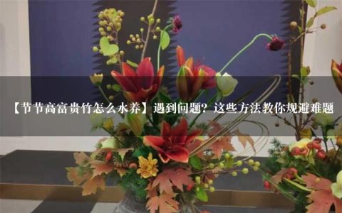 【节节高富贵竹怎么水养】遇到问题？这些方法教你规避难题