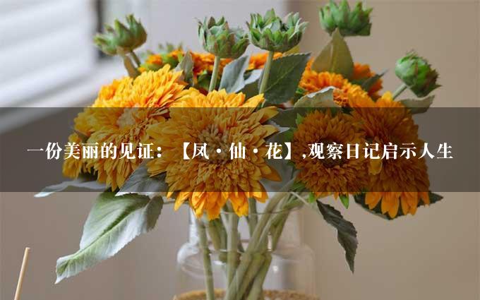 一份美丽的见证：【凤·仙·花】,观察日记启示人生