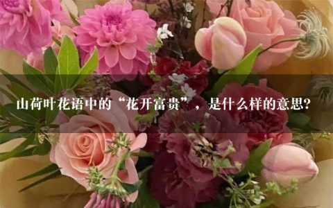 山荷叶花语中的“花开富贵”，是什么样的意思？