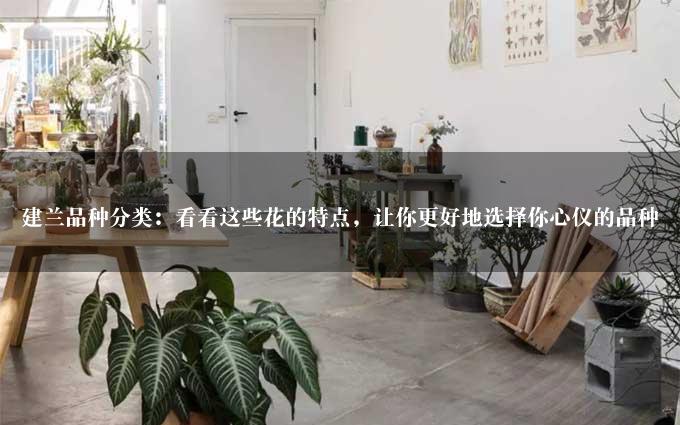 建兰品种分类：看看这些花的特点，让你更好地选择你心仪的品种