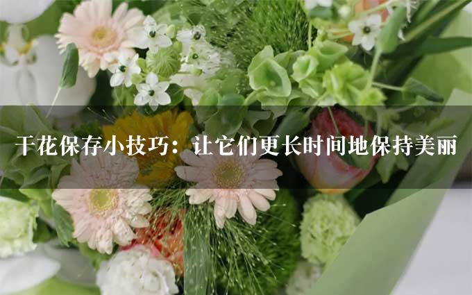 干花保存小技巧：让它们更长时间地保持美丽