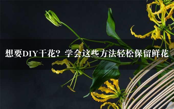 想要DIY干花？学会这些方法轻松保留鲜花