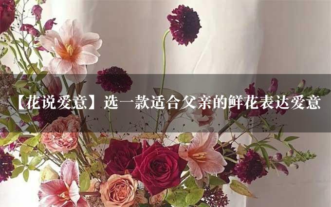 【花说爱意】选一款适合父亲的鲜花表达爱意