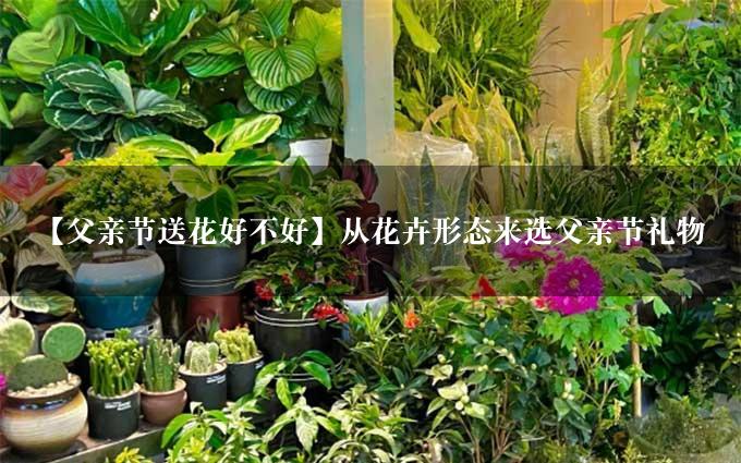 【父亲节送花好不好】从花卉形态来选父亲节礼物