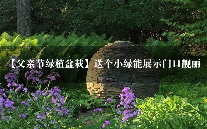 【父亲节绿植盆栽】送个小绿能展示门口靓丽