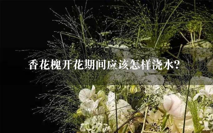 香花槐开花期间应该怎样浇水？