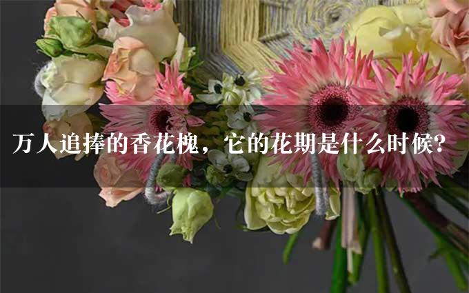 万人追捧的香花槐，它的花期是什么时候？