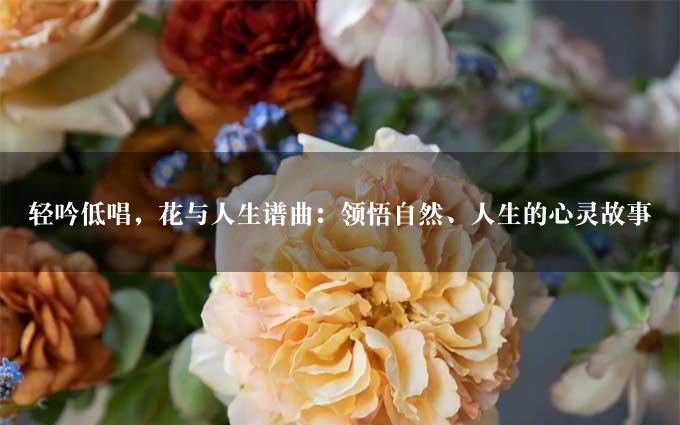 轻吟低唱，花与人生谱曲：领悟自然、人生的心灵故事