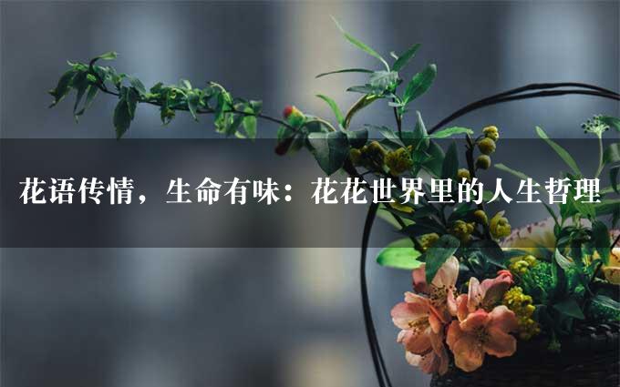 花语传情，生命有味：花花世界里的人生哲理