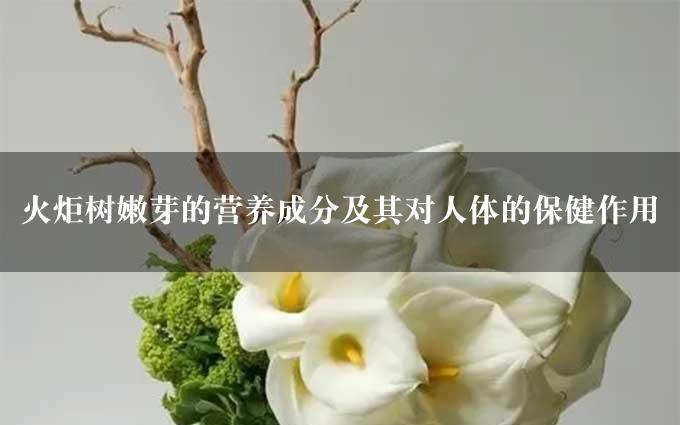 火炬树嫩芽的营养成分及其对人体的保健作用