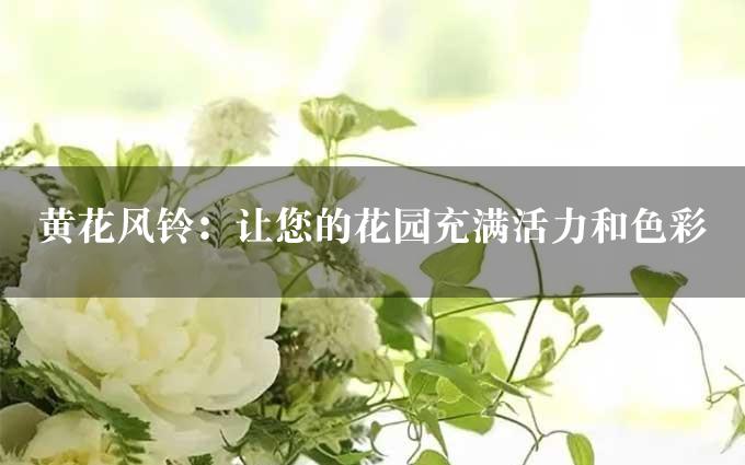 黄花风铃：让您的花园充满活力和色彩