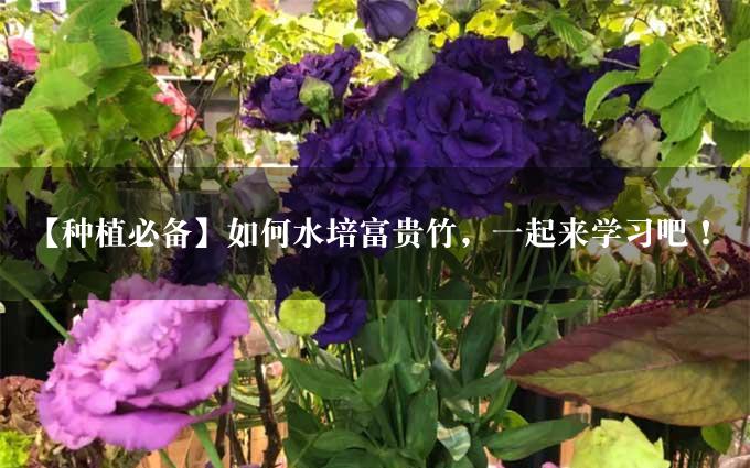 【种植必备】如何水培富贵竹，一起来学习吧！