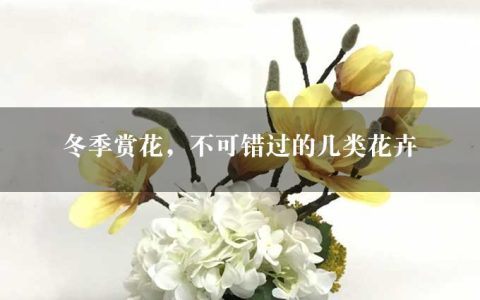 冬季赏花，不可错过的几类花卉