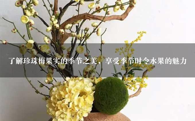 了解珍珠梅果实的季节之美，享受季节时令水果的魅力