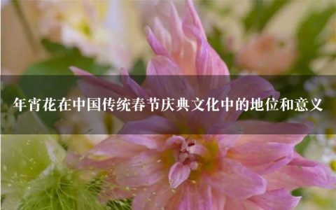 年宵花在中国传统春节庆典文化中的地位和意义