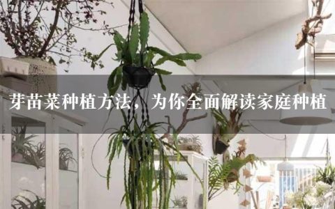 芽苗菜种植方法，为你全面解读家庭种植