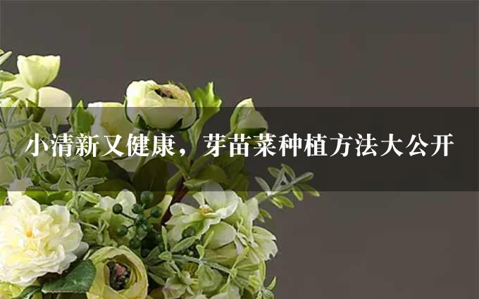 小清新又健康，芽苗菜种植方法大公开