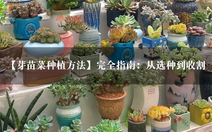 【芽苗菜种植方法】完全指南：从选种到收割