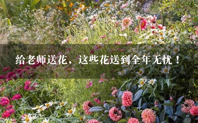 给老师送花，这些花送到全年无忧！