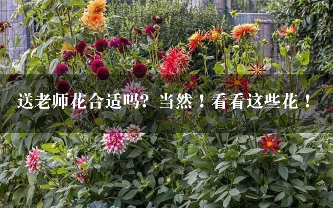 送老师花合适吗？当然！看看这些花！