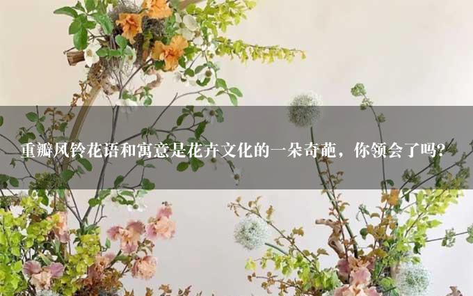 重瓣风铃花语和寓意是花卉文化的一朵奇葩，你领会了吗？