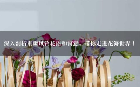 深入剖析重瓣风铃花语和寓意，带你走进花海世界！