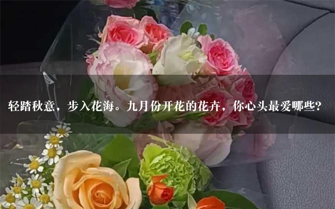 轻踏秋意，步入花海。九月份开花的花卉，你心头最爱哪些？