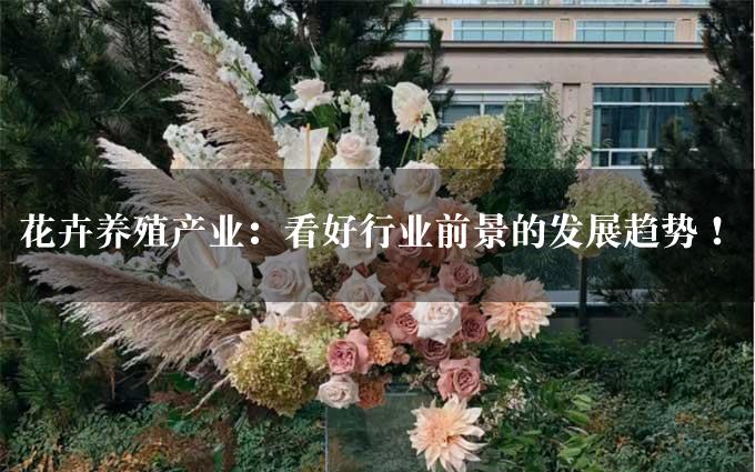 花卉养殖产业：看好行业前景的发展趋势！