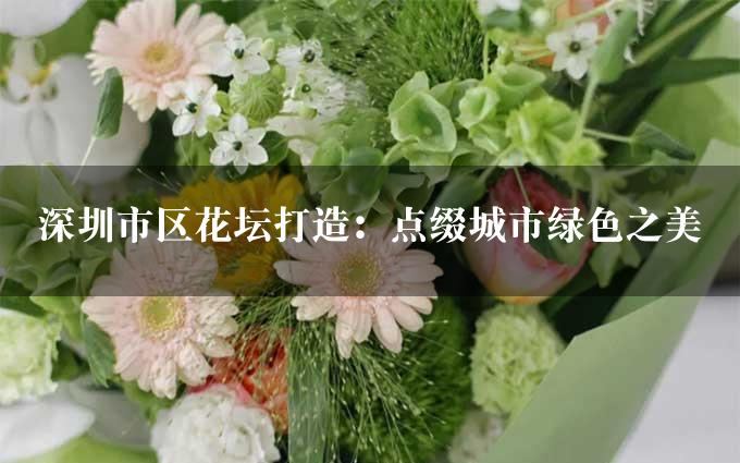 深圳市区花坛打造：点缀城市绿色之美