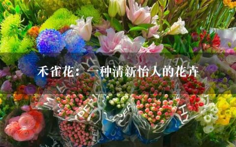 禾雀花：一种清新怡人的花卉