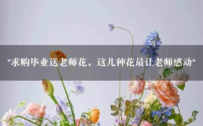 "求购毕业送老师花，这几种花最让老师感动"