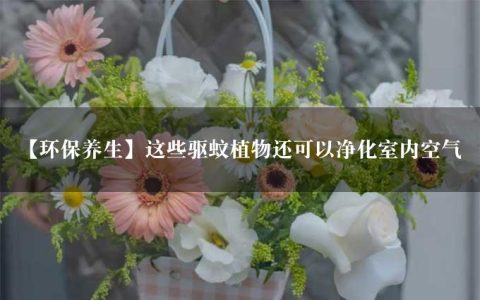 【环保养生】这些驱蚊植物还可以净化室内空气