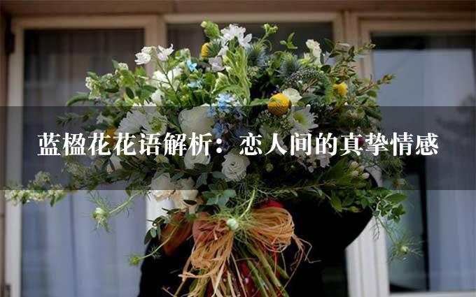 蓝楹花花语解析：恋人间的真挚情感